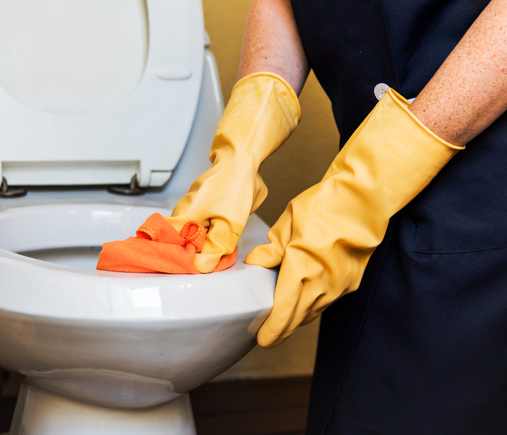 an image of a cleaner  wiping the toilet